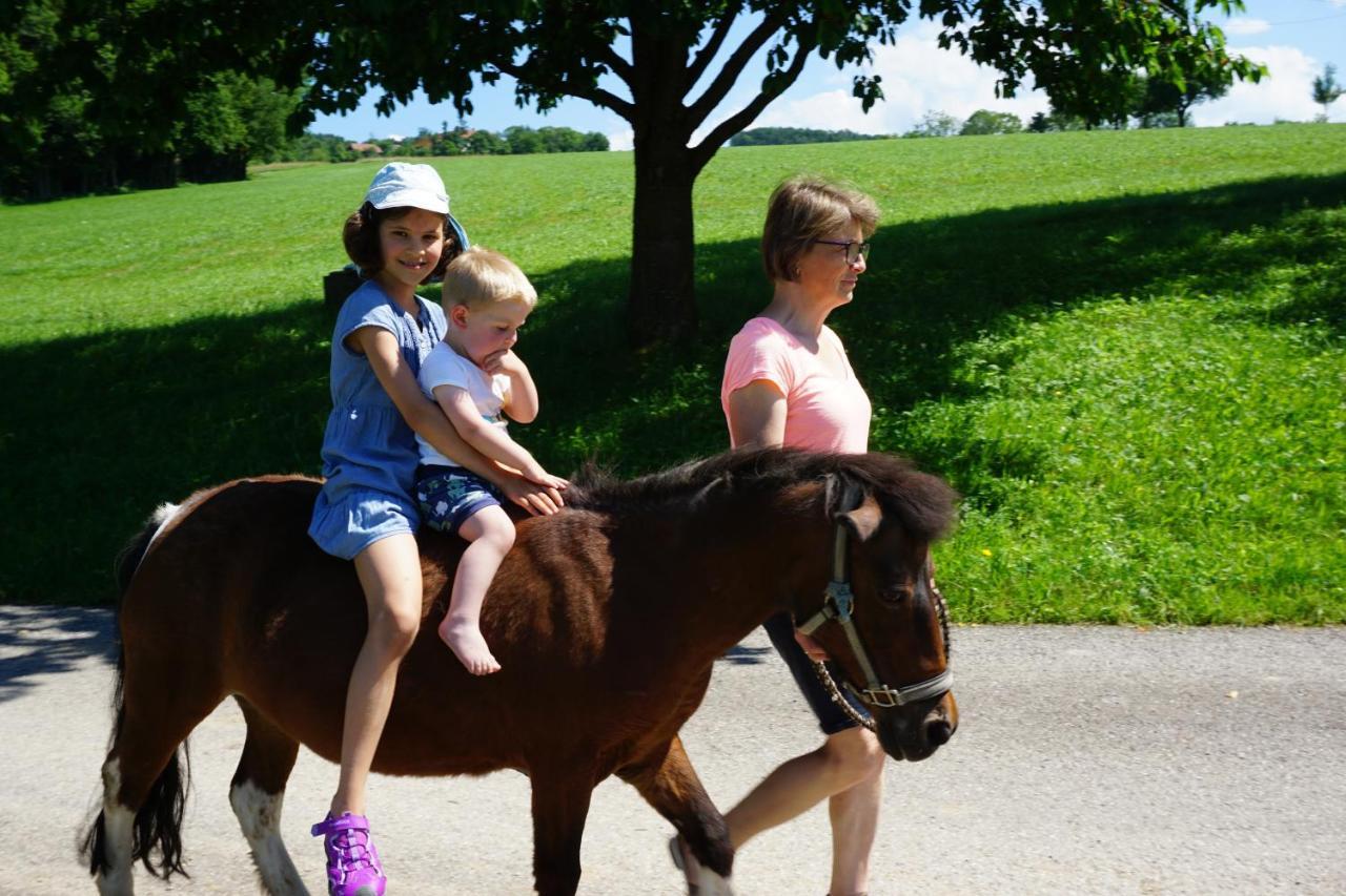 Kinderbauernhof Salmanner Steinbach an der Steyr Εξωτερικό φωτογραφία