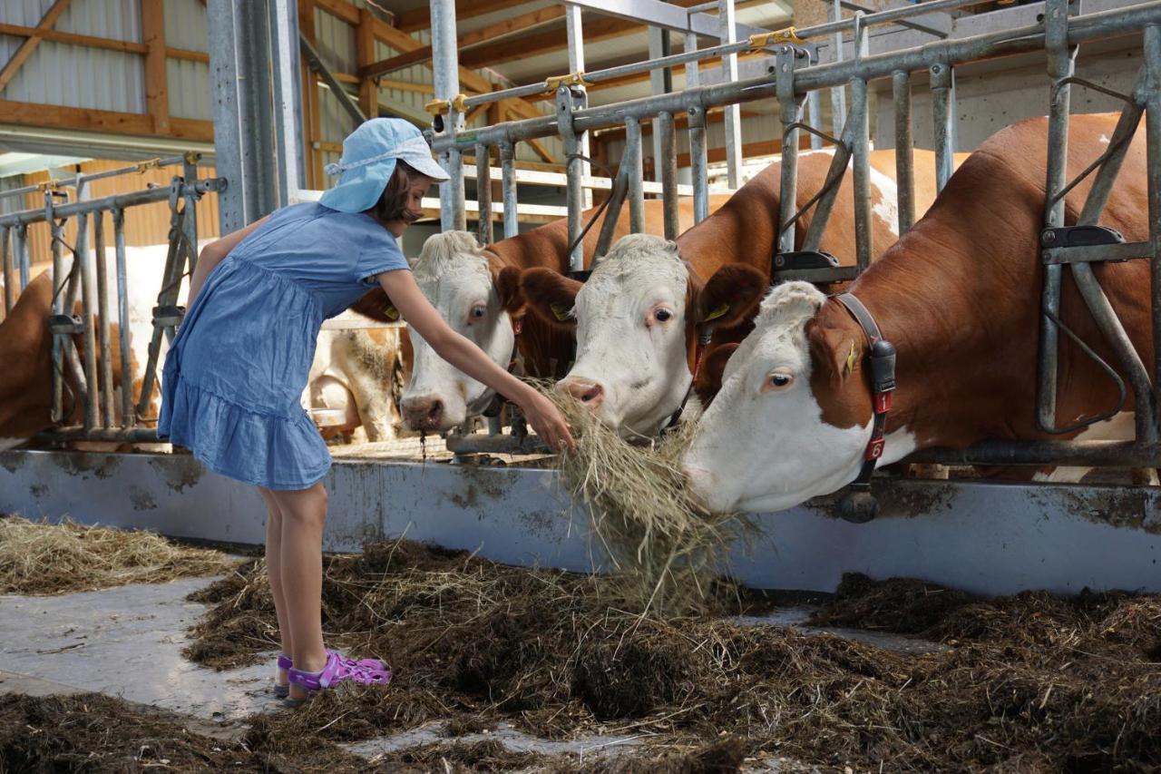 Kinderbauernhof Salmanner Steinbach an der Steyr Εξωτερικό φωτογραφία