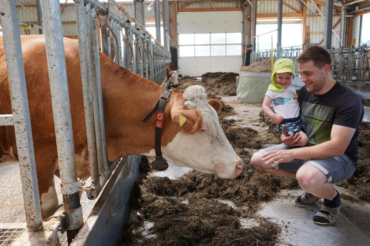 Kinderbauernhof Salmanner Steinbach an der Steyr Εξωτερικό φωτογραφία