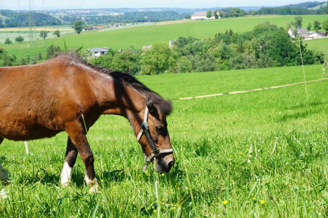 Kinderbauernhof Salmanner Steinbach an der Steyr Εξωτερικό φωτογραφία