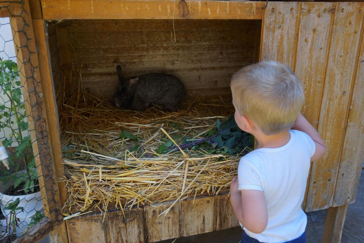 Kinderbauernhof Salmanner Steinbach an der Steyr Εξωτερικό φωτογραφία
