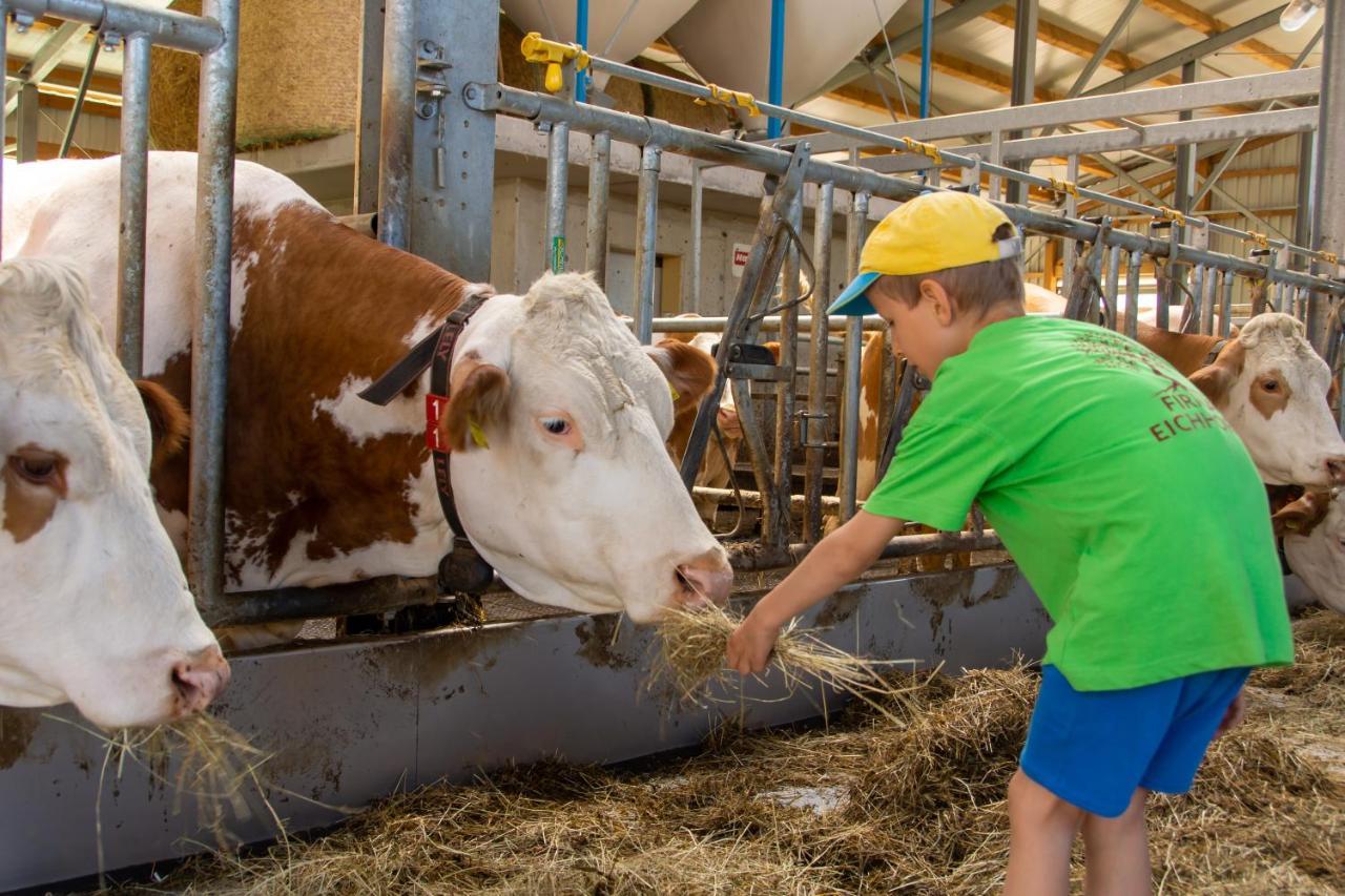 Kinderbauernhof Salmanner Steinbach an der Steyr Εξωτερικό φωτογραφία