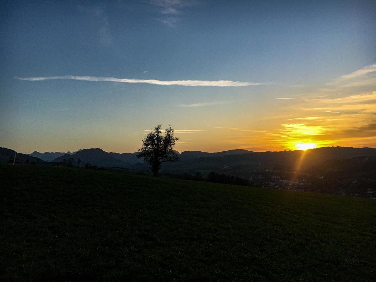 Kinderbauernhof Salmanner Steinbach an der Steyr Εξωτερικό φωτογραφία