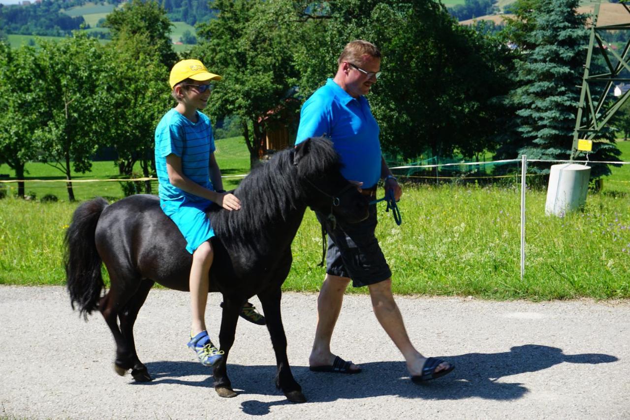 Kinderbauernhof Salmanner Steinbach an der Steyr Εξωτερικό φωτογραφία