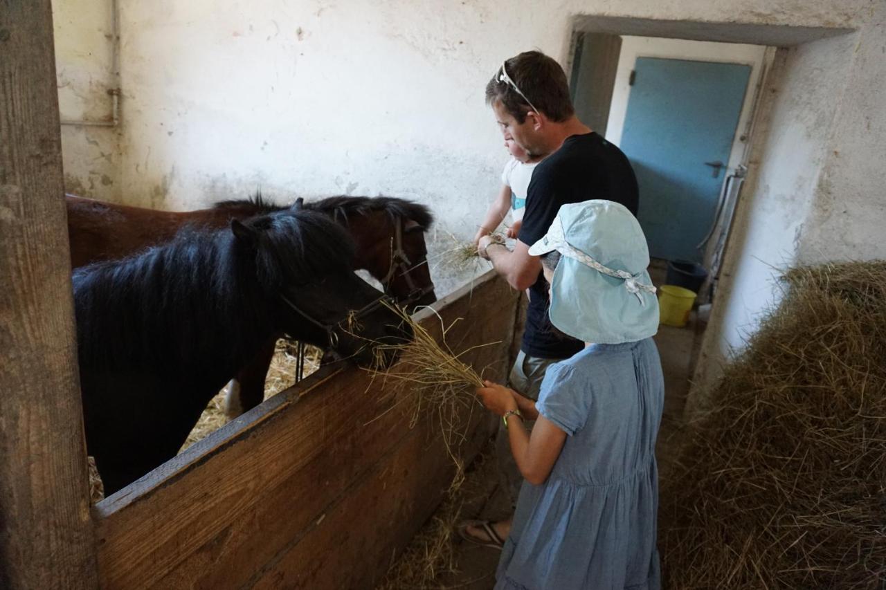 Kinderbauernhof Salmanner Steinbach an der Steyr Εξωτερικό φωτογραφία