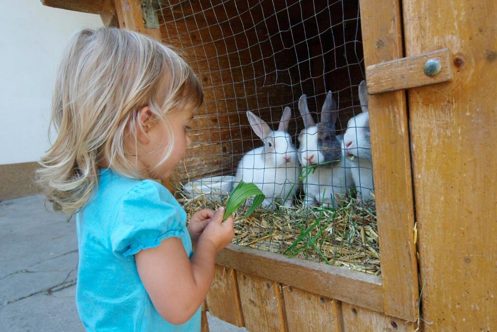 Kinderbauernhof Salmanner Steinbach an der Steyr Εξωτερικό φωτογραφία